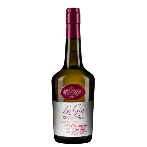 Bouteille de gin