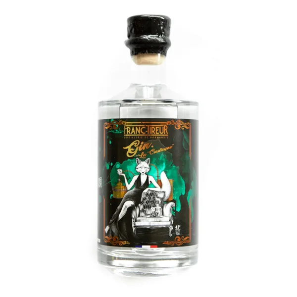 Bouteille de gin