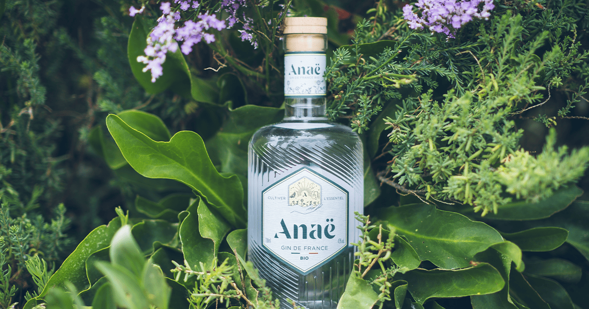 Bouteille de Gin Anaë