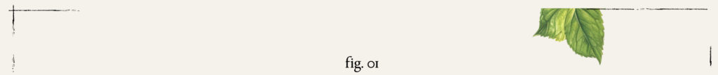 Titre Fig.01