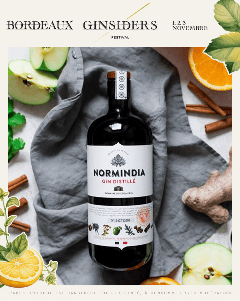 Normindia au Ginsiders Festival de Bordeaux 2024